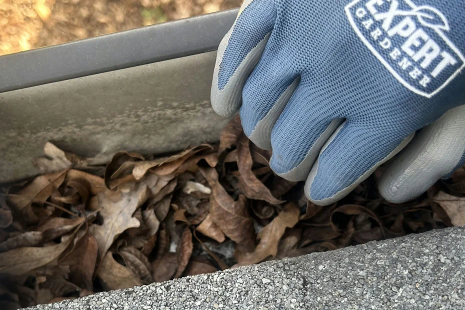 Gutter Cleaning Jeffersonville